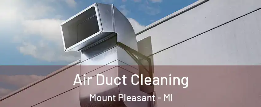  Air Duct Cleaning Mount Pleasant - MI