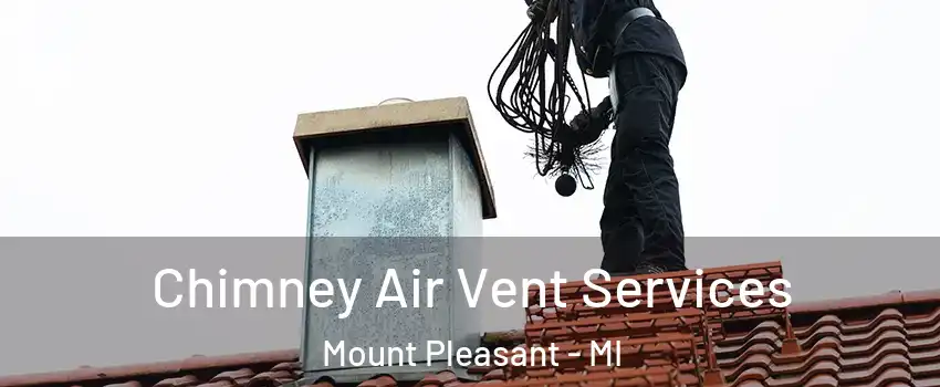  Chimney Air Vent Services Mount Pleasant - MI