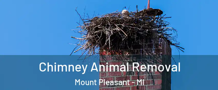  Chimney Animal Removal Mount Pleasant - MI