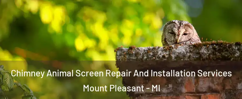  Chimney Animal Screen Repair And Installation Services Mount Pleasant - MI