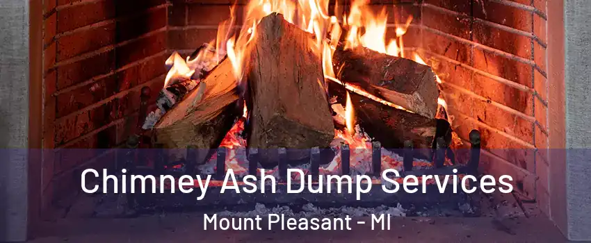  Chimney Ash Dump Services Mount Pleasant - MI