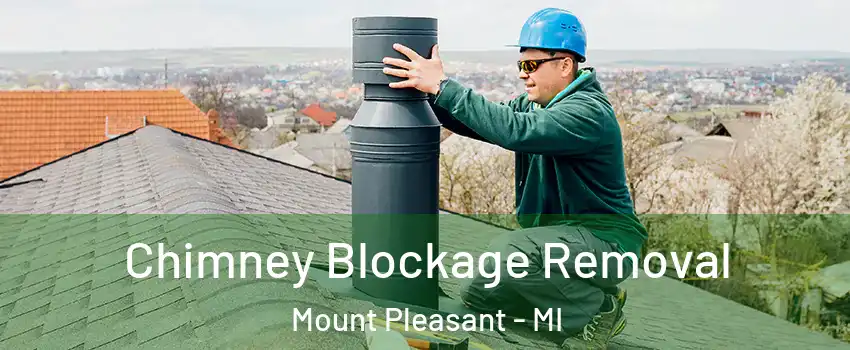  Chimney Blockage Removal Mount Pleasant - MI