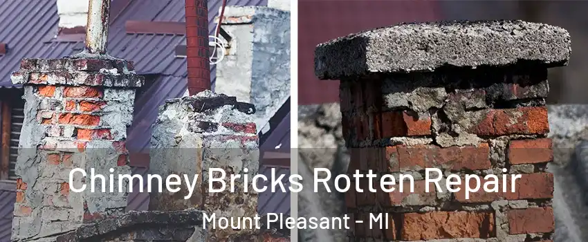  Chimney Bricks Rotten Repair Mount Pleasant - MI