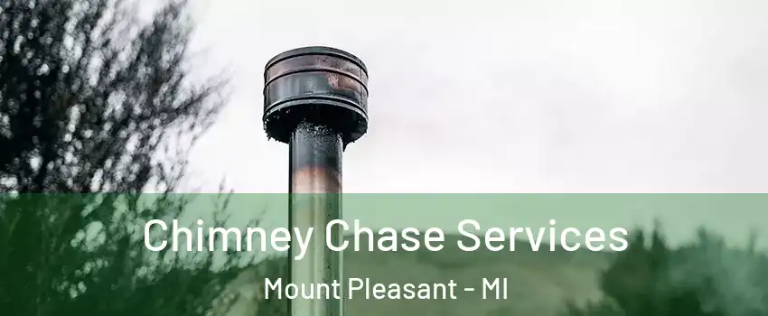  Chimney Chase Services Mount Pleasant - MI