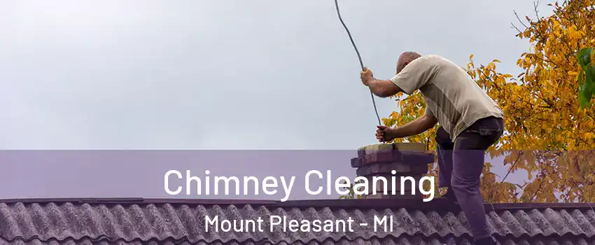  Chimney Cleaning Mount Pleasant - MI