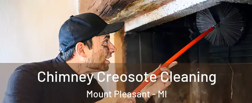  Chimney Creosote Cleaning Mount Pleasant - MI
