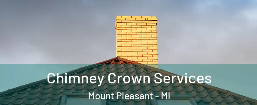  Chimney Crown Services Mount Pleasant - MI