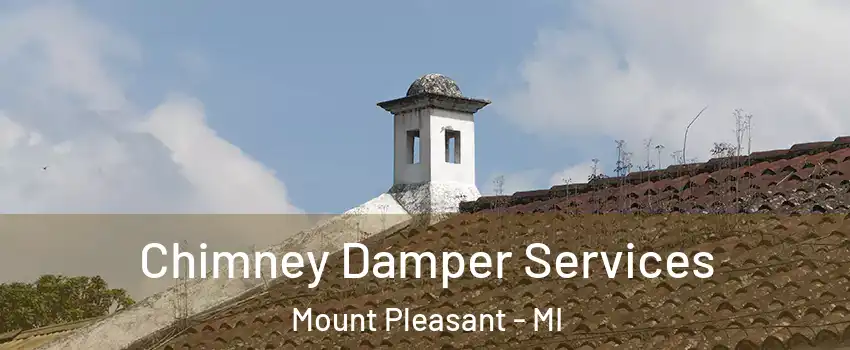  Chimney Damper Services Mount Pleasant - MI