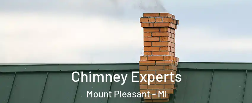  Chimney Experts Mount Pleasant - MI
