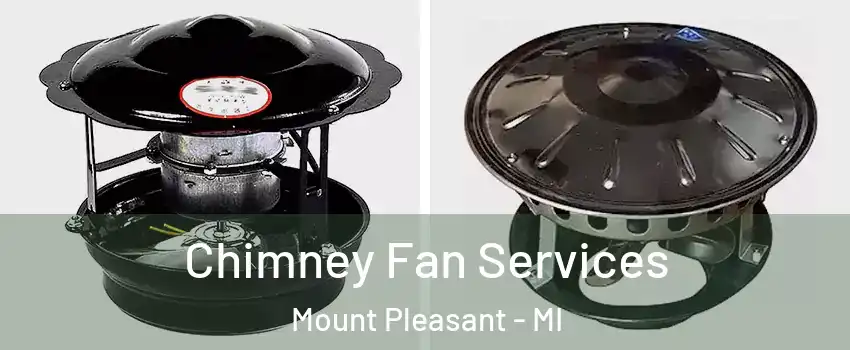  Chimney Fan Services Mount Pleasant - MI