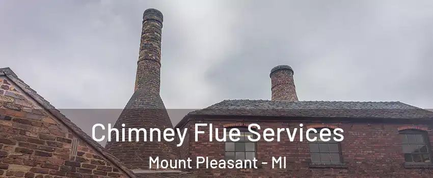  Chimney Flue Services Mount Pleasant - MI