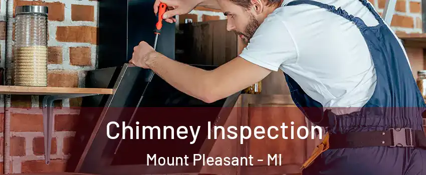  Chimney Inspection Mount Pleasant - MI