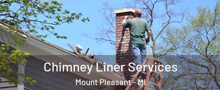  Chimney Liner Services Mount Pleasant - MI