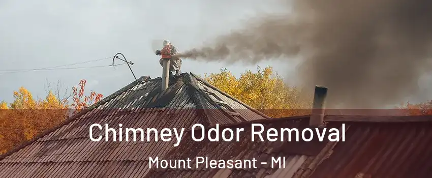  Chimney Odor Removal Mount Pleasant - MI