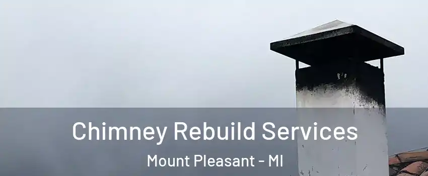  Chimney Rebuild Services Mount Pleasant - MI