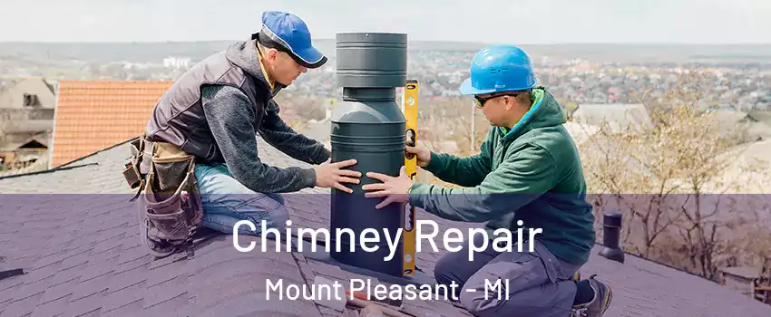  Chimney Repair Mount Pleasant - MI