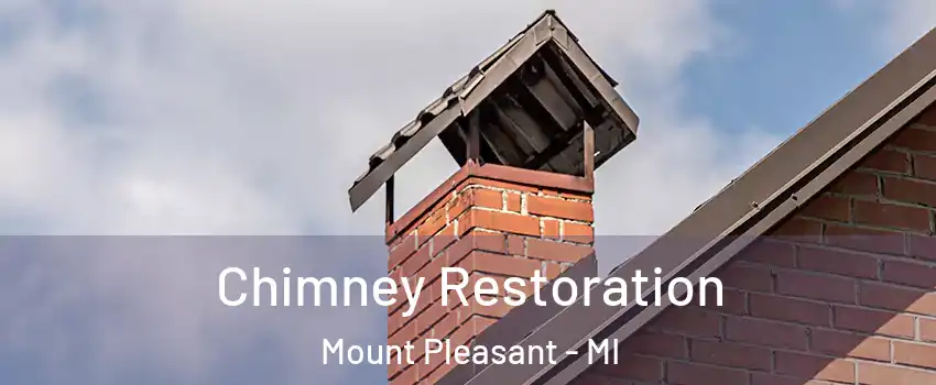  Chimney Restoration Mount Pleasant - MI
