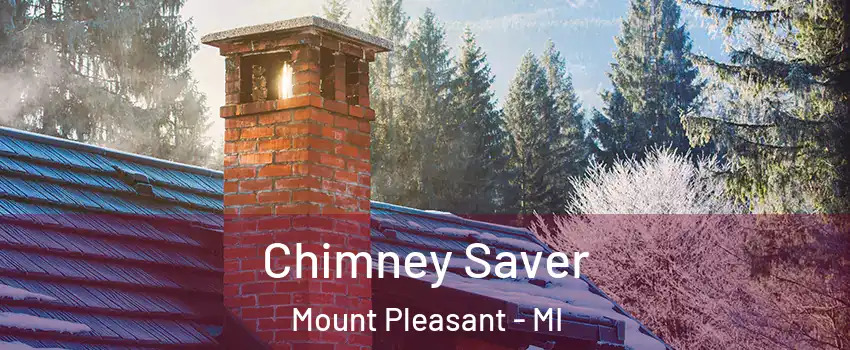  Chimney Saver Mount Pleasant - MI