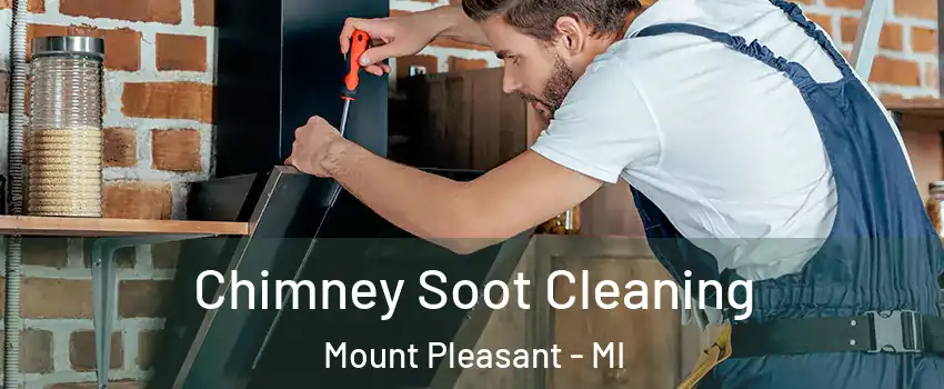  Chimney Soot Cleaning Mount Pleasant - MI
