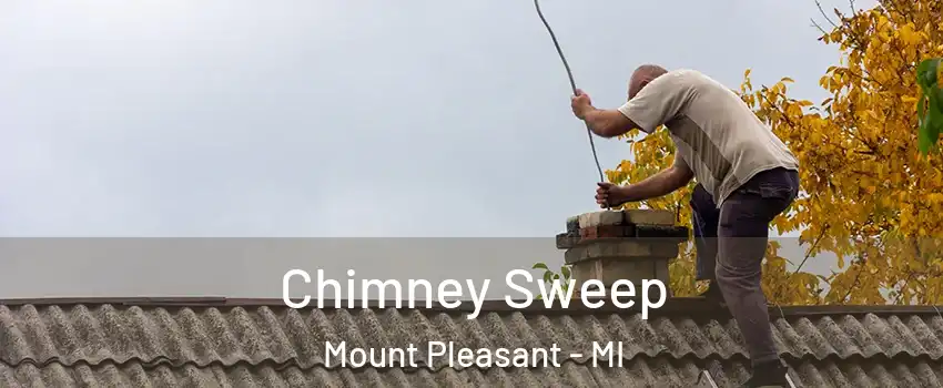  Chimney Sweep Mount Pleasant - MI