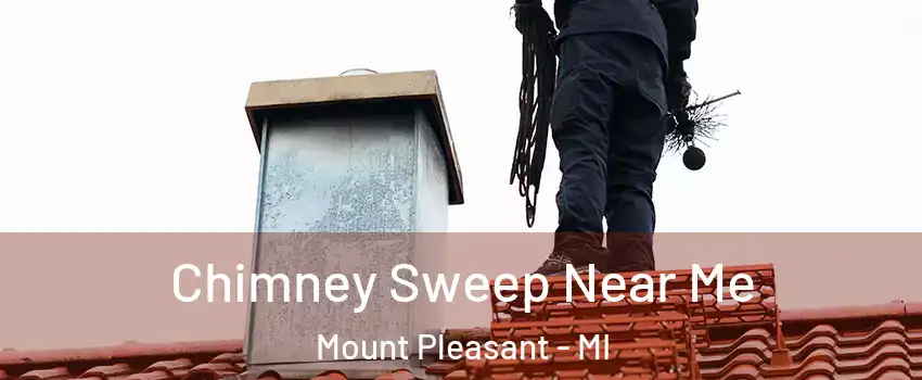  Chimney Sweep Near Me Mount Pleasant - MI