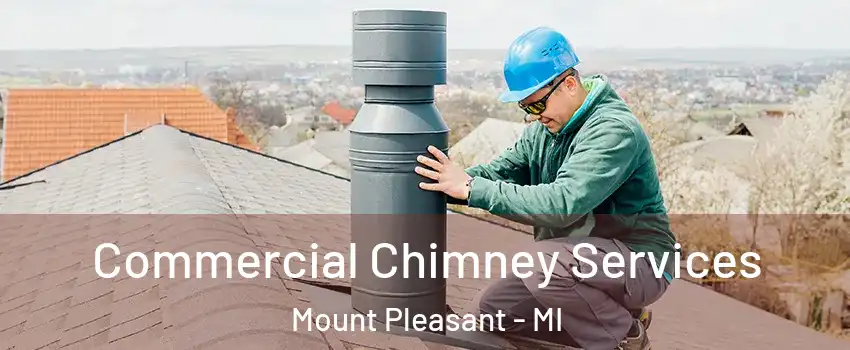  Commercial Chimney Services Mount Pleasant - MI