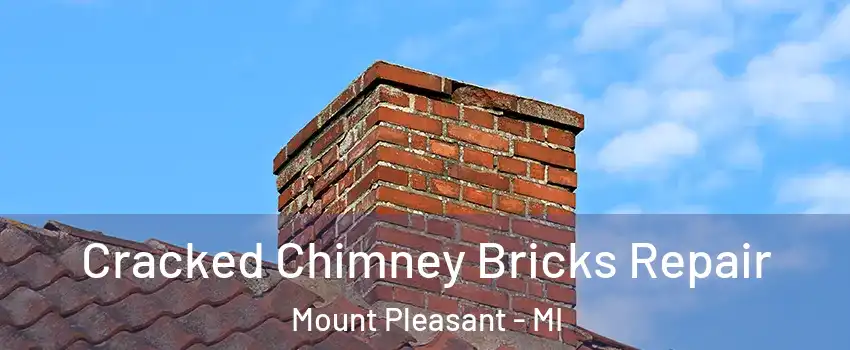  Cracked Chimney Bricks Repair Mount Pleasant - MI