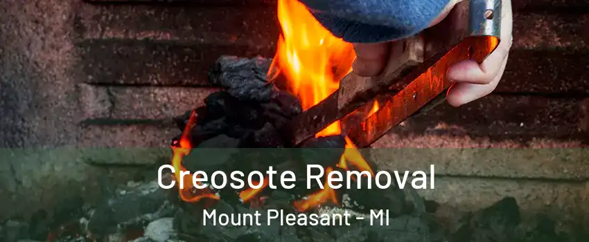  Creosote Removal Mount Pleasant - MI