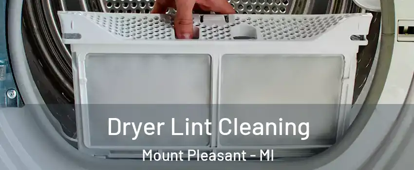  Dryer Lint Cleaning Mount Pleasant - MI