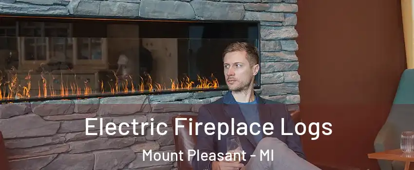  Electric Fireplace Logs Mount Pleasant - MI