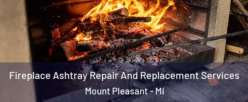  Fireplace Ashtray Repair And Replacement Services Mount Pleasant - MI