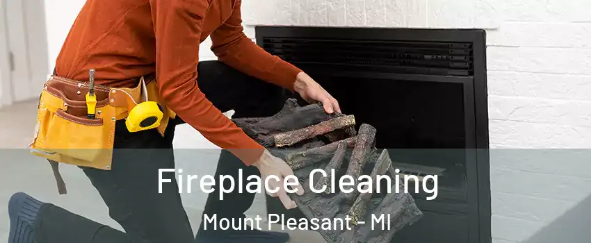  Fireplace Cleaning Mount Pleasant - MI