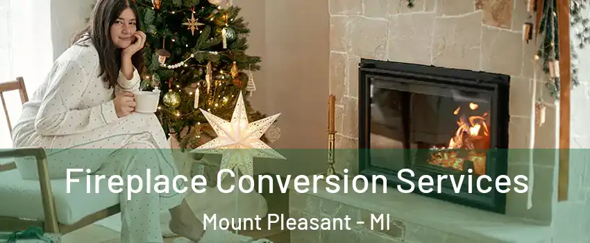  Fireplace Conversion Services Mount Pleasant - MI