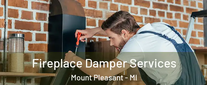  Fireplace Damper Services Mount Pleasant - MI