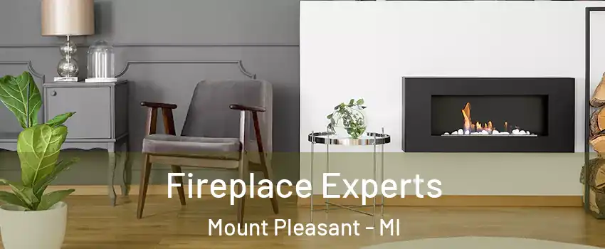  Fireplace Experts Mount Pleasant - MI