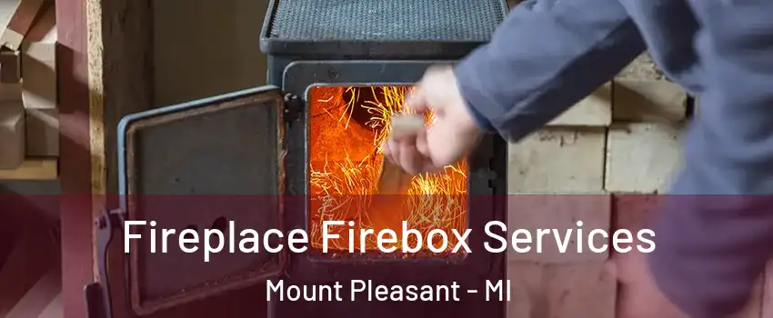  Fireplace Firebox Services Mount Pleasant - MI