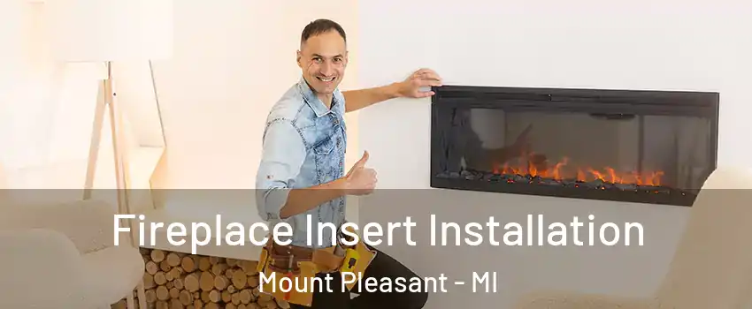  Fireplace Insert Installation Mount Pleasant - MI