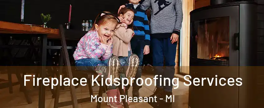  Fireplace Kidsproofing Services Mount Pleasant - MI