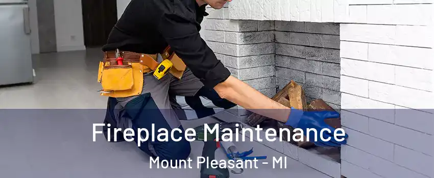  Fireplace Maintenance Mount Pleasant - MI