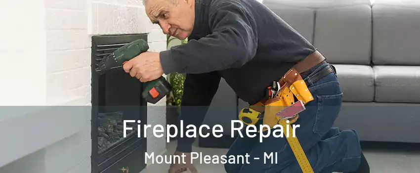  Fireplace Repair Mount Pleasant - MI