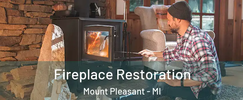  Fireplace Restoration Mount Pleasant - MI