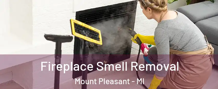  Fireplace Smell Removal Mount Pleasant - MI