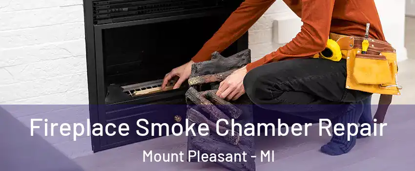  Fireplace Smoke Chamber Repair Mount Pleasant - MI