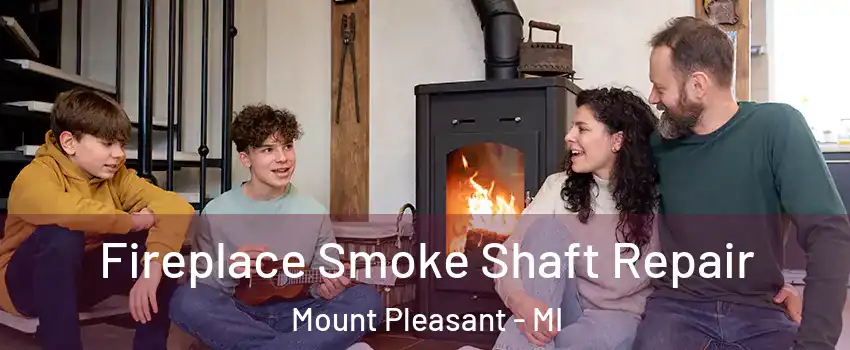  Fireplace Smoke Shaft Repair Mount Pleasant - MI