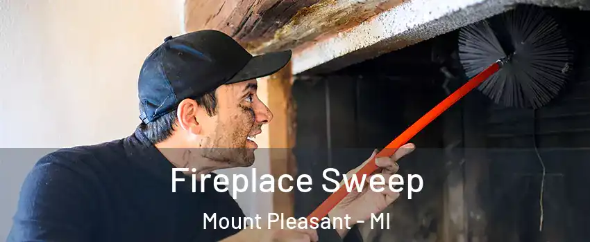  Fireplace Sweep Mount Pleasant - MI
