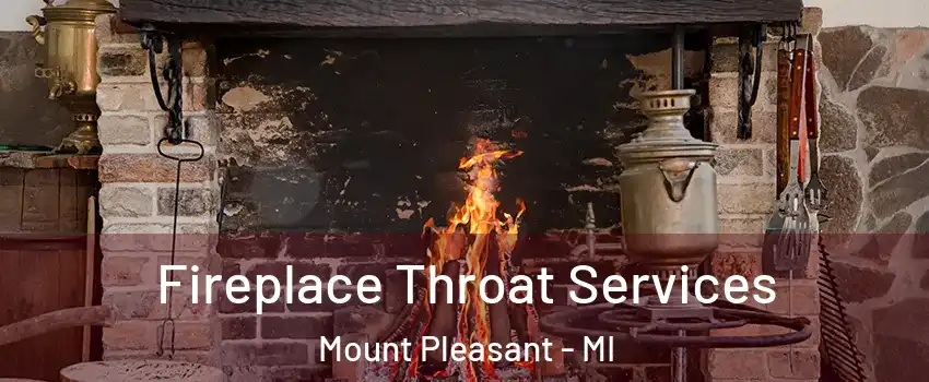  Fireplace Throat Services Mount Pleasant - MI