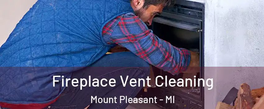  Fireplace Vent Cleaning Mount Pleasant - MI
