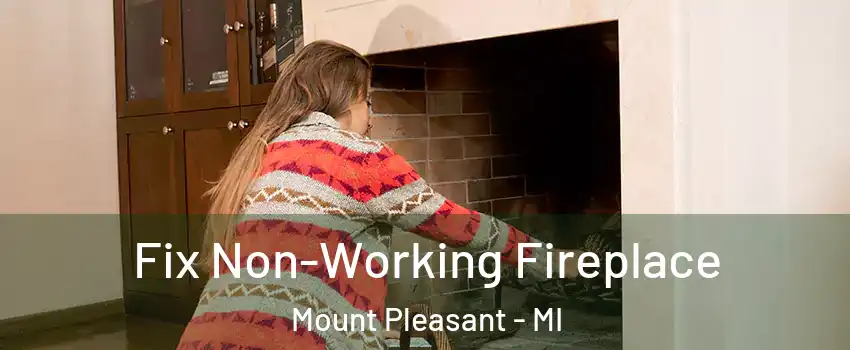  Fix Non-Working Fireplace Mount Pleasant - MI