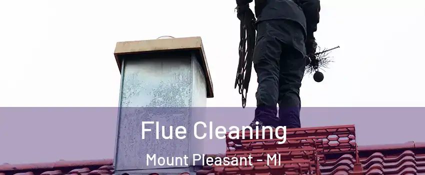  Flue Cleaning Mount Pleasant - MI