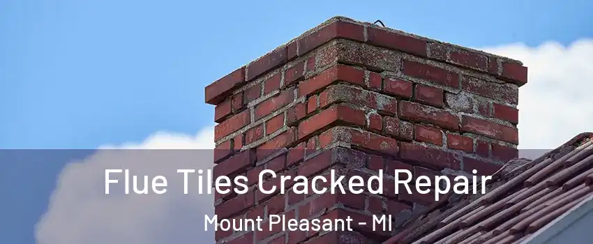  Flue Tiles Cracked Repair Mount Pleasant - MI